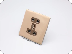 Enchufe universal de 2&de 3 clavijas