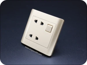 Zócalo universal de 2 pines